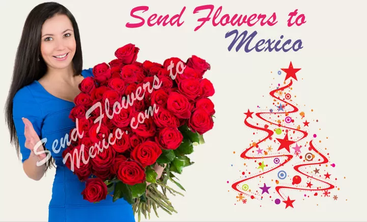 Enviar Flores Para México