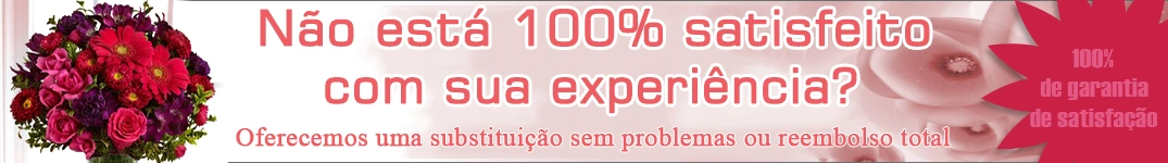 Garantia de Satisfação de 100%