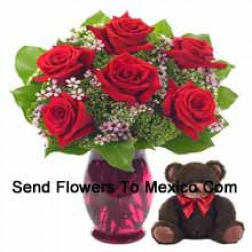 6 Red Roses with Cute 14 Inch Teddy