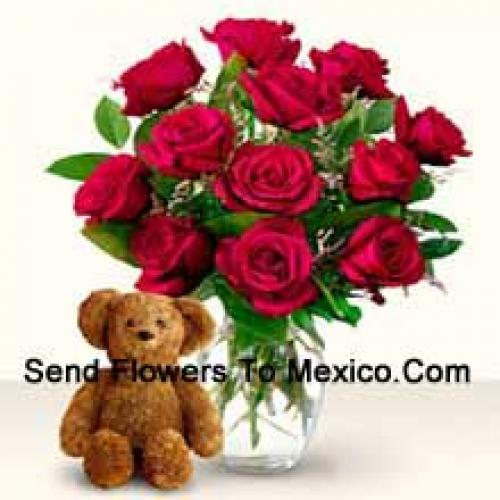 12 Red Roses with Cute 12 Inch Teddy