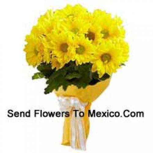 Cool 18 Yellow Gerberas