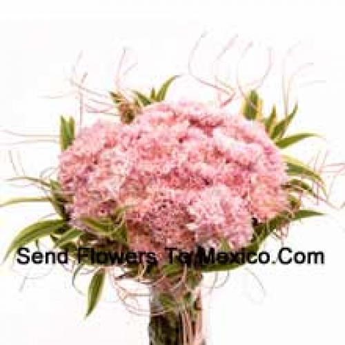 24 Pretty Pink Carnations