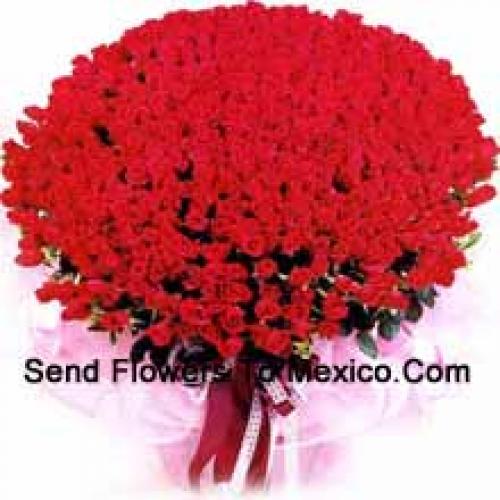 Elegant 300 Roses Bunch