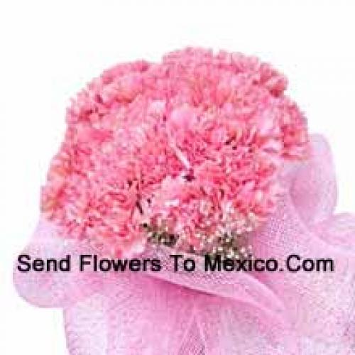 Cute 24 Pink Carnations