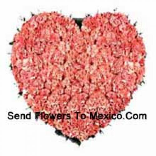 100 Pink Heart Carnations