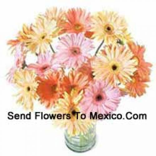 24 Fancy Assorted Gerberas