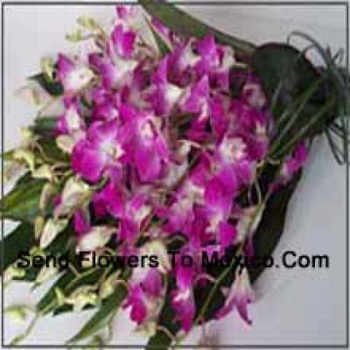 Cute Orchids Bunch