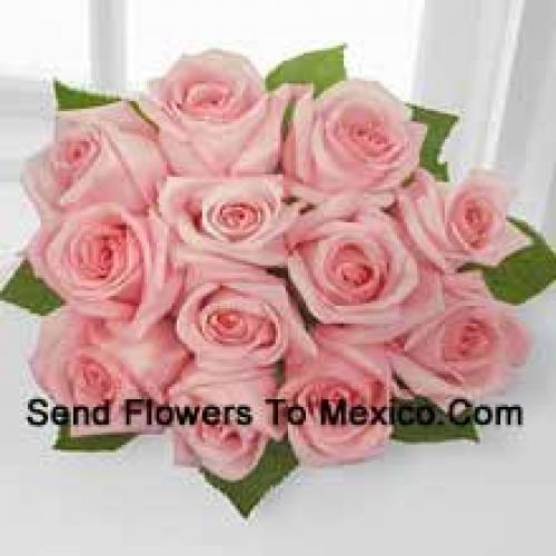 12 Beautiful Pink Roses