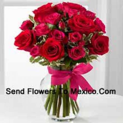 18 Cute Red Roses with Pink Bow