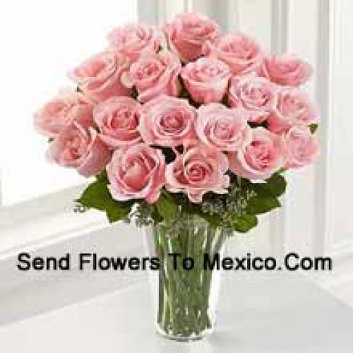 18 Charming Pink Roses